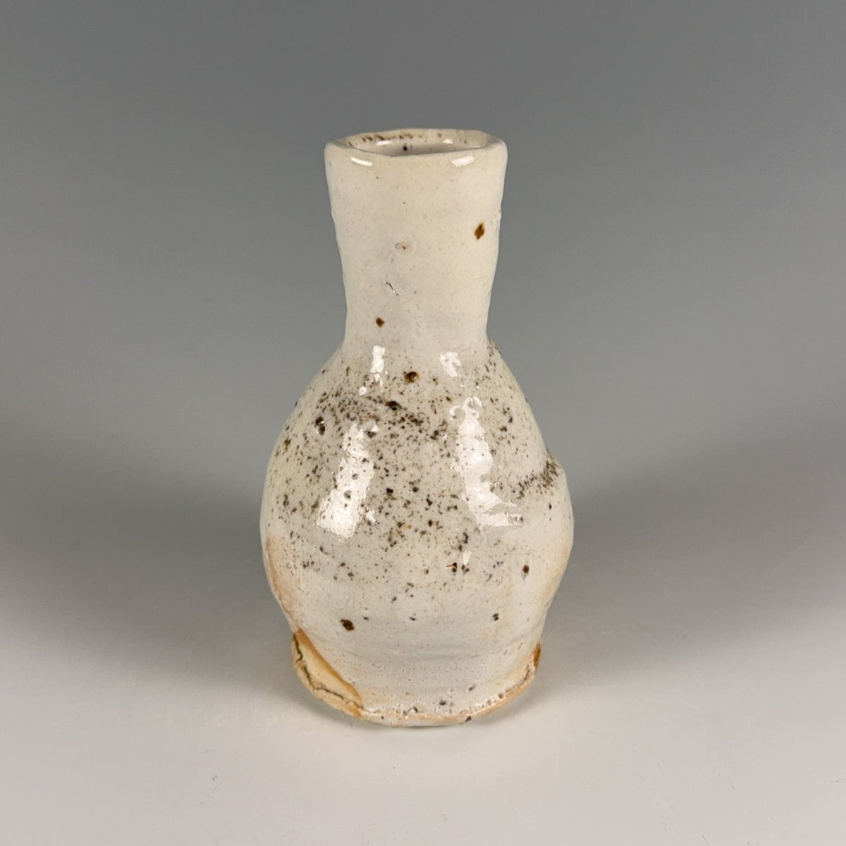 Paul Dresang sake bottle